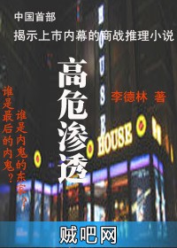 《高危渗透》txt全集