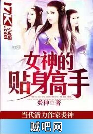 《女神的贴身高手》txt全集