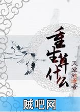 《重生算什么》txt全集