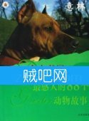 意林藏书《最感人的88个动物故事》