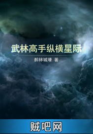 《武林高手纵横星际》txt全集