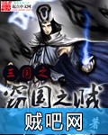 《三国之窃国之贼》txt全集