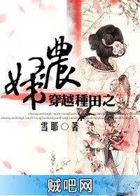 《穿越种田之农妇》txt全集