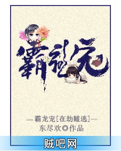 《霸龙宠》txt全集