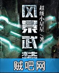 《风暴武装》txt全集