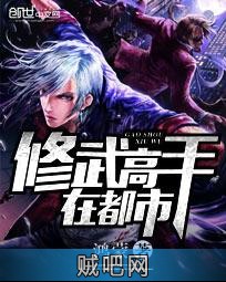 《修武高手在都市》txt全集