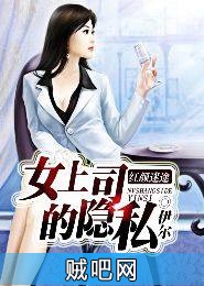 《红颜迷途：女上司的隐私》txt全集