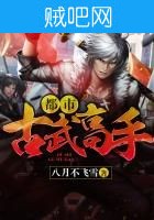 《都市古武高手》txt全集