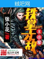 《铁掌无敌王小军》txt全集