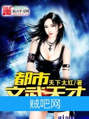 《都市文武天才》txt全集