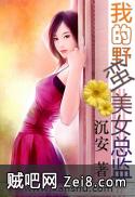 《我的野蛮美女总监》txt全集