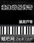 《重生音乐传奇》txt全集