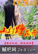 《山村野花开》txt全集