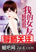 《我的女友会武功》txt全集