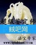 《极品鉴定师》全集