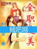 《全职追美》全集[完整校对版]