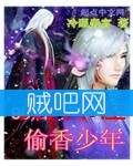 《九零后偷香少年》全集