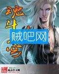 《魂斗苍穹》全集(已完结)