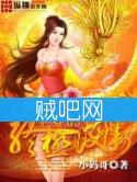 《圣女的终极护卫》全集[完整校对版]