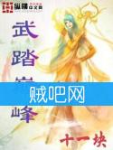 《武踏巅峰》全集[校对版]