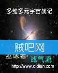 《多维多元宇宙战记》全集