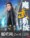 《魔武系统》txt全集