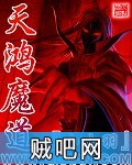 《天鸿魔道》txt全集