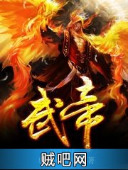 《武帝》txt全集