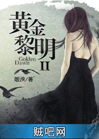 《黄金黎明2》txt全集