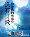 《送葬诗歌》txt全集