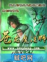 《苍龙魔法师》txt全集