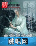 《白首太玄经》txt全集