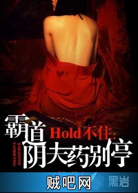 《Hold不住：霸道阴夫药别停》txt全集