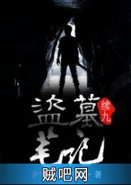 《盗墓笔记续9》txt全集