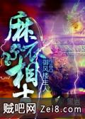 《麻衣相士》txt全集