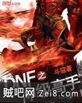 《DNF之神级高手》txt全集