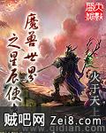 《魔兽世界之星辰使者》txt全集