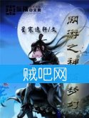 《网游之神临梦幻》全本