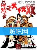 《海贼王之天下无双》全集[完整校对版]