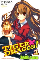 《TIGER X DRAGON》全集(龙虎斗)