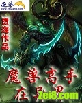 《魔兽高手在异界》全集