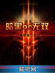 《暗黑or无双》txt全集