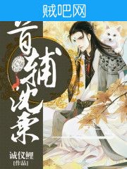 《首辅沈栗》txt全集