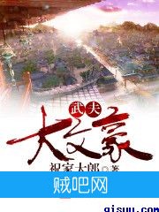 《武夫大文豪》txt全集