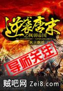 《逆袭唐末之枫羽帝国》txt全集