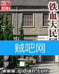 《铁血大民国》全集