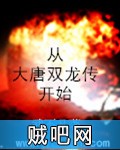 《从大唐双龙传开始》txt全集