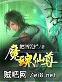 《魔魂仙尊》txt全集