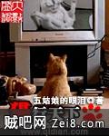 《猫行天下》txt全集