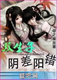 《双生子阴差阳错》txt全集